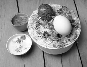 Egg Biryani
