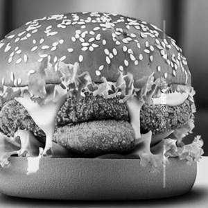 Chicken zinger burger