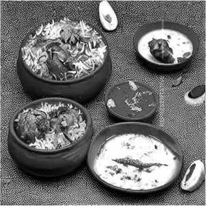 Special Rajdhani Matka Biryani