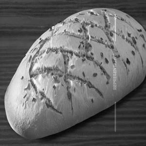 Bread (Big)