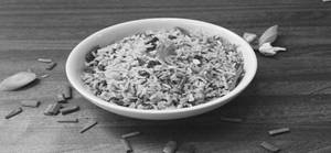 Veg Fried Rice