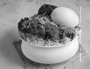 Chicken Boneless Biryani