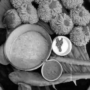 Chicken kurkure momo