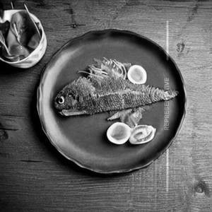 Apollo fish