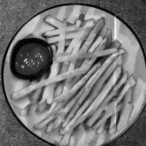 Plain loaded fries