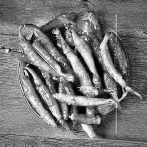 Pepper baby corn