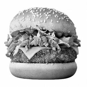 Spicy Burgur