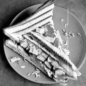 Veg cheese                                      
