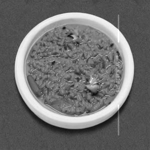 Sambar Rice