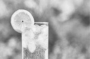 Fresh Lime  Soda