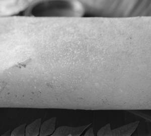 Paper Plain Dosa