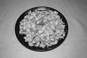 White Veg Macaroni