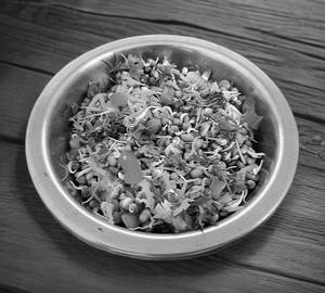 Sprouts Bowl
