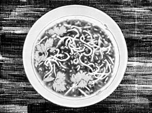 Chicken manchow soup