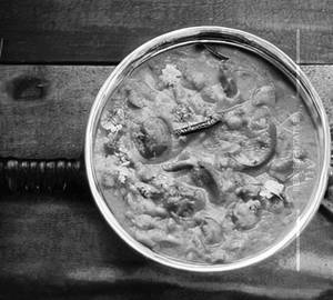 Mushroom masala