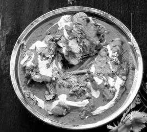 Dahi Chicken