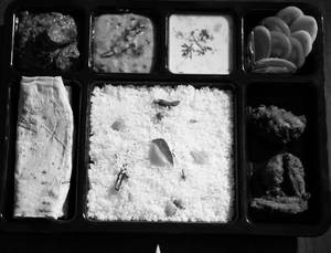 Ghee Rice Combo