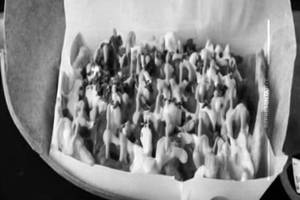 Loaded Fries