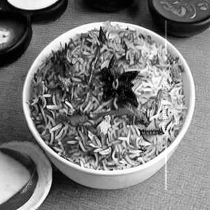 Healthy Special Biryani