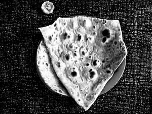 Roti Ki Tokri