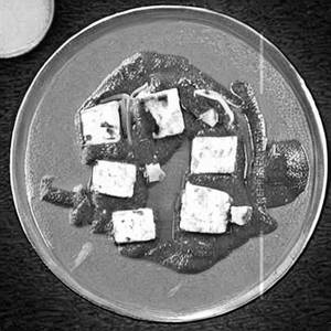 Paneer pasnda