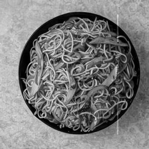 Chilli Chinese Garlic Noodles
