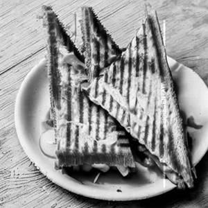 Cheese Grilled Sandwich