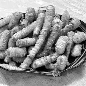 Golden Fried Baby Corn