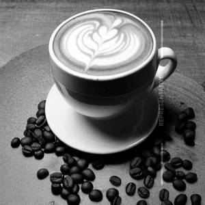 Rose Cappuccino