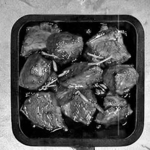 Pork Roast