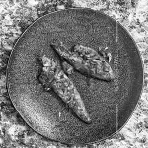 Chilly Fish