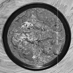 Murg nababi masala