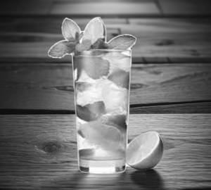 Mint Lime Mojito