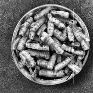 Baby Corn Salted Pepper Dry