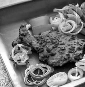 Chicken Cheese Tandoori