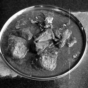 Mutton Kasha