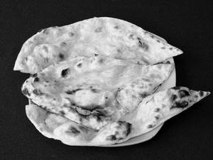 Butter Naan