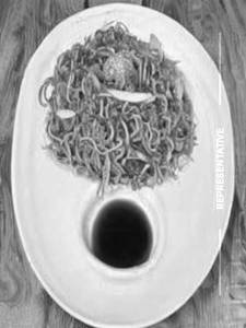 Panner Noodles