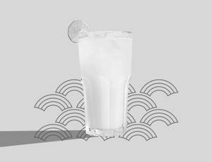 Lemon Ginger Spritzer