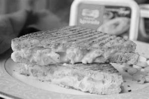 Paneer Cheese Marine