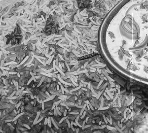 Plain biryani