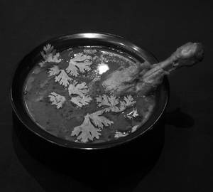 Murg Handi