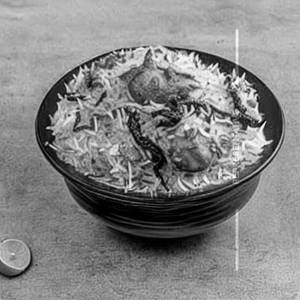 Hyderabadi dum biryani