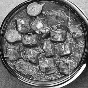 Paneer Chilly Oyster Dry