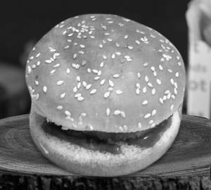 Hungry bird burger
