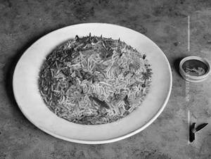 Veg Biryani 