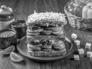 Veg Cheese Grilled Sandwich