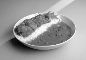 Japanese Katsu Curry Chicken..
