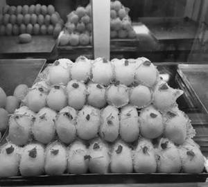 Cham Cham 5Pcs