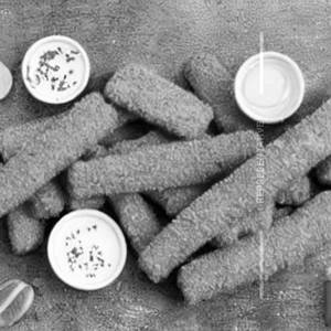 Fish Fingers